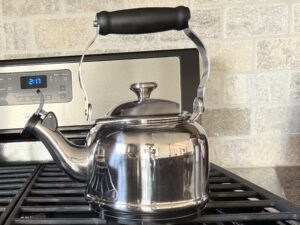 Stainless Steel Demi Tea Kettle on stove