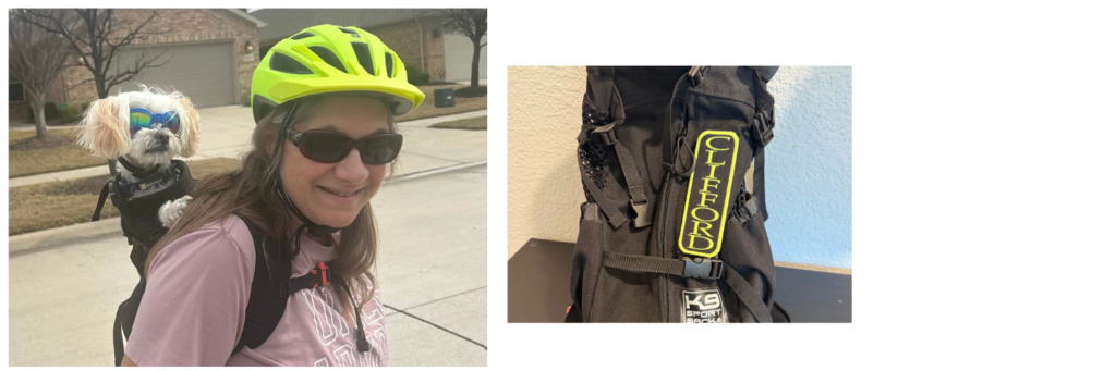 Clifford the Maltipoo riding in a K9 Sport Sack dog backpack during a bike ride.